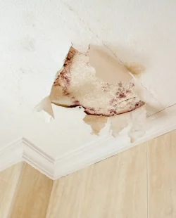 water-leak-ceiling น้ำซึม,เพดานบวม,ตรวจบ้าน,ตรวจคอนโด,S Inspector,ตรวจคอนโด,ตรวจรับบ้าน,ตรวจคอนโด,ตรวจบ้านก่อนโอน,ตรวจ บ้าน pantip,บริษัท ตรวจ รับ บ้าน,บริษัท รับ ตรวจ บ้าน,ตรวจรับคอนโด,บริษัทรับตรวจบ้าน,ตรวจบ้าน ราคา,บริษัท ตรวจบ้าน,รับตรวจบ้านก่อนโอน,รีวิว ตรวจ รับ บ้าน pantip,ตรวจ รับ บ้าน ก่อน โอน,บริษัทตรวจบ้าน,บริษัทตรวจรับบ้าน,ตรวจ บ้าน ก่อน โอน,บริษัท ตรวจ รับ บ้าน ที่ไหน ดี,บริษัท ตรวจ รับ บ้าน pantip,ตรวจรับบ้านก่อนโอน,วิธี ตรวจ รับ คอน โด , ตรวจบ้าน เจ้าไหนดี,ตรวจห้องคอนโด,ตรวจ รับ คอน โด ก่อน โอน,ช่างตรวจบ้าน,บริษัท รับตรวจบ้าน,บริษัท ตรวจรับบ้าน,การตรวจบ้านก่อนโอน, การตรวจรับบ้านก่อนโอน, การตรวจรับบ้าน,รับตรวจบ้าน,การ ตรวจ รับ บ้าน,บริษัทรับตรวจบ้าน,Inspector, ตรวจสอบอาคาร